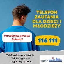 Grafika poglądowa